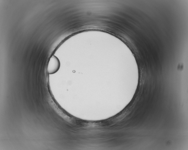 X0000111500796200908251048