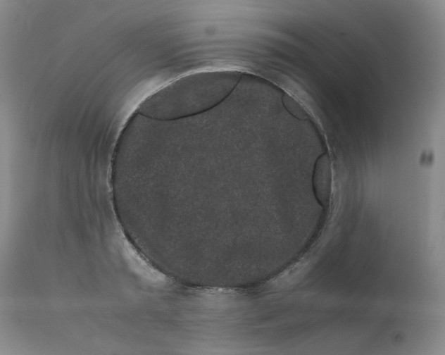 X0000111500797200908251048