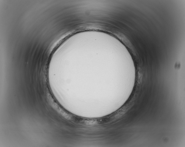 X0000111500798200908251048