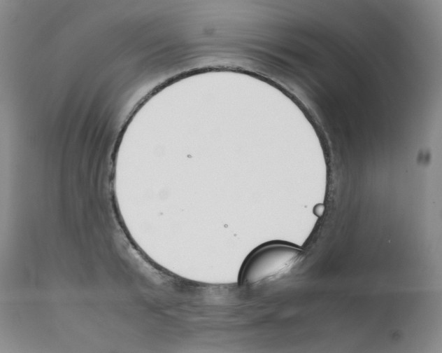 X0000111500799200908251048