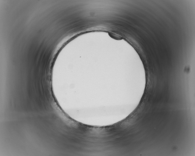 X0000111500800200908251048