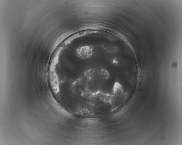 X0000111500802200908251048