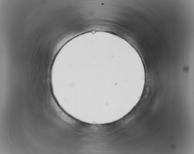 X0000111500803200908251048