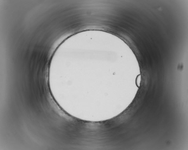 X0000111500804200908251048