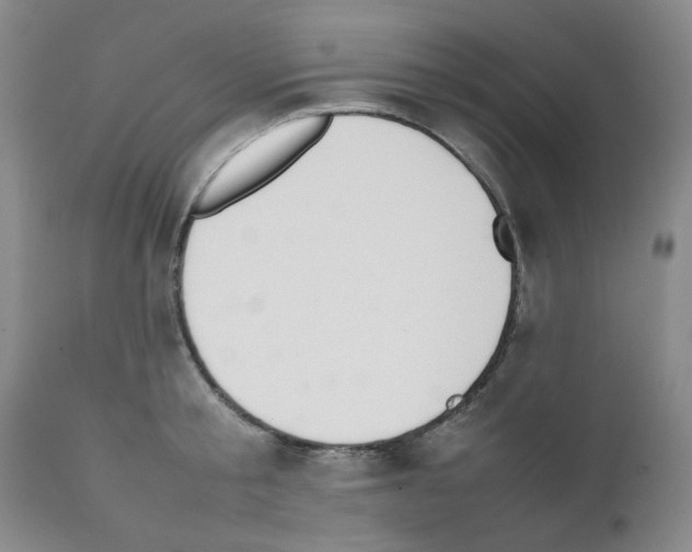 X0000111500805200908251048