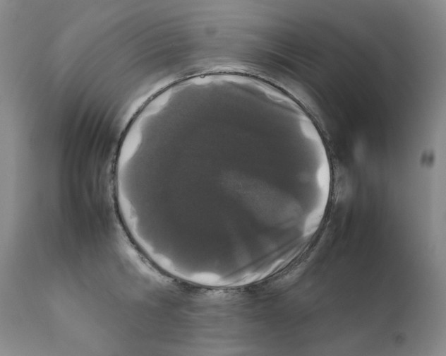 X0000111500806200908251048