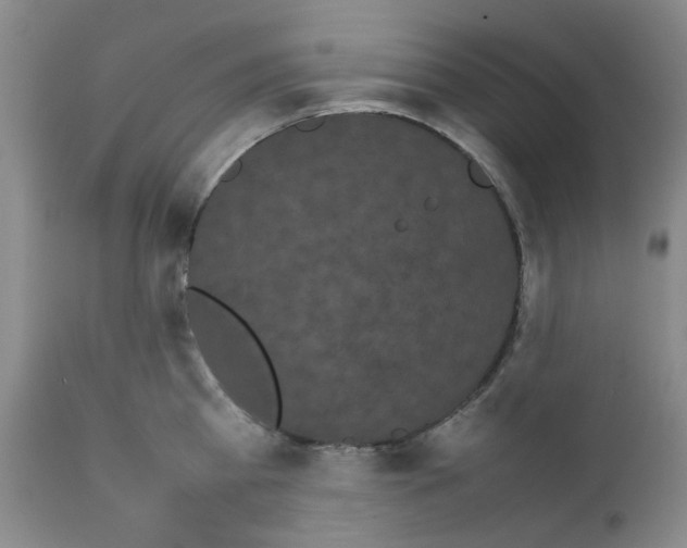 X0000111500809200908251048