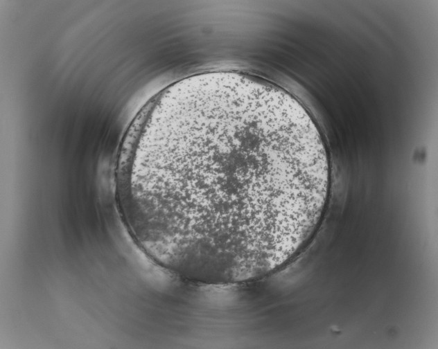 X0000111500810200908251048