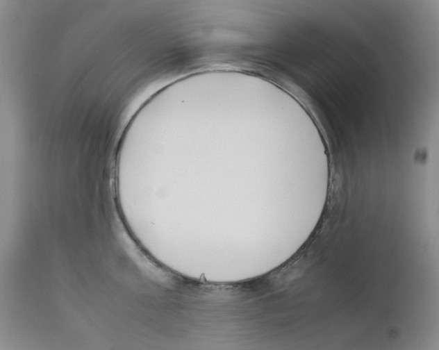 X0000111500811200908251048