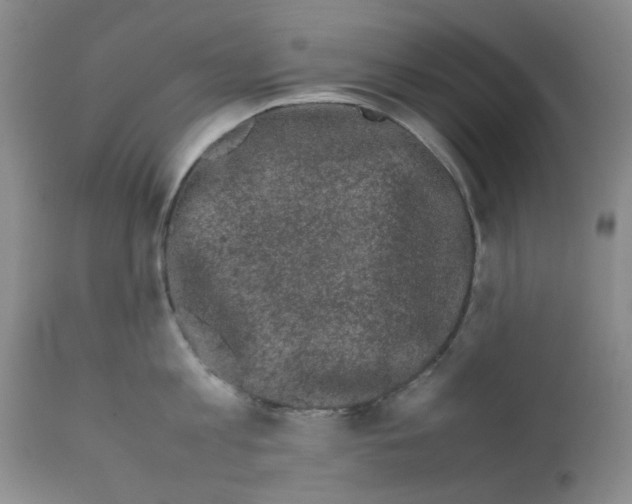 X0000111500813200908251048