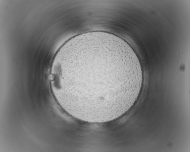 X0000111500814200908251048