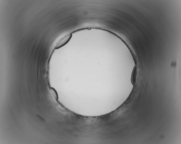 X0000111500815200908251048