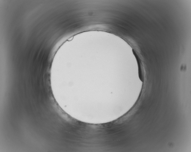 X0000111500816200908251048