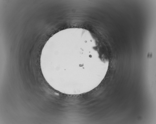 X0000111500817200908251047