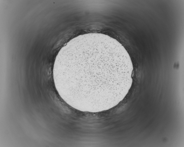 X0000111500818200908251047