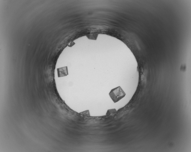 X0000111500819200908251047