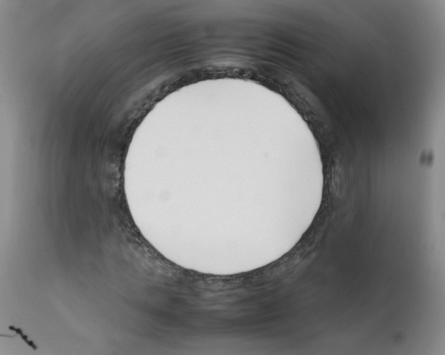 X0000111500821200908251047