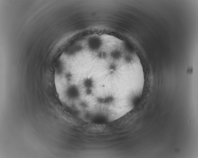 X0000111500823200908251047