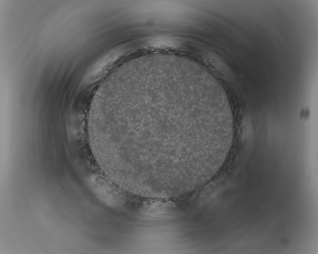 X0000111500824200908251047