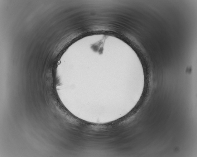 X0000111500825200908251047