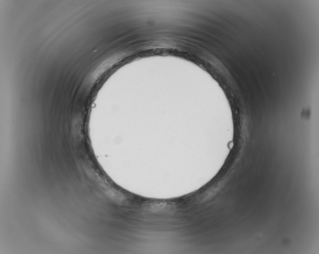 X0000111500826200908251047