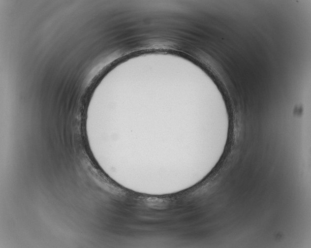 X0000111500827200908251047