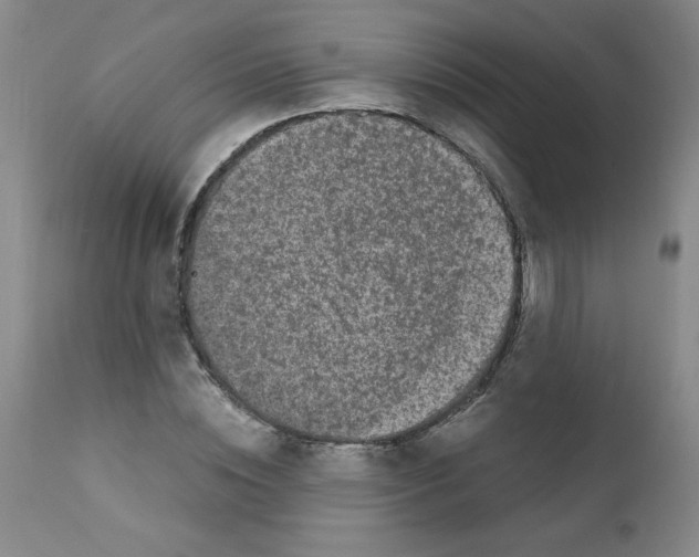 X0000111500828200908251047