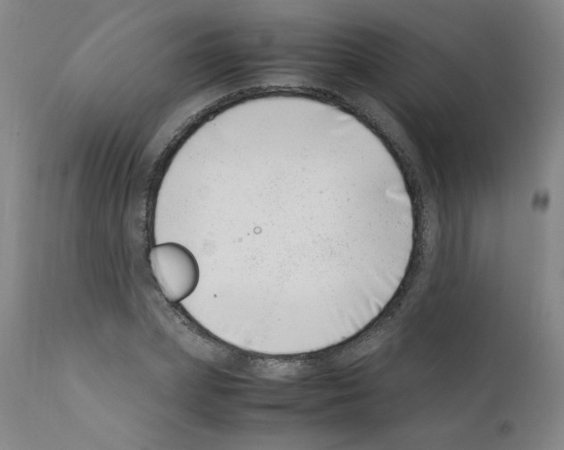 X0000111500831200908251047