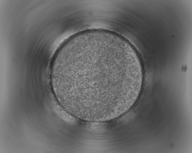 X0000111500832200908251047