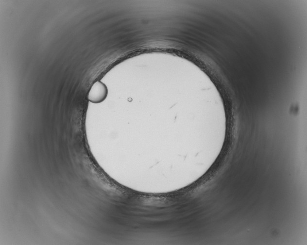 X0000111500833200908251047