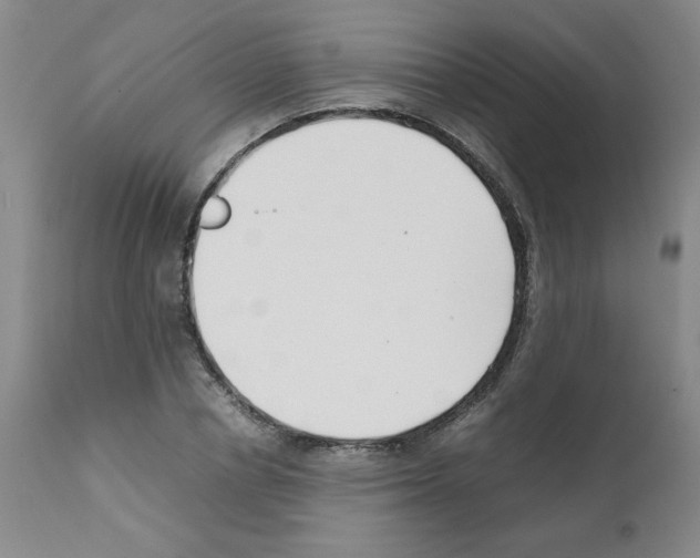 X0000111500834200908251047