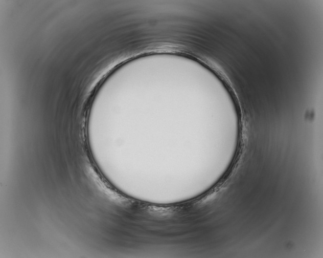 X0000111500835200908251047