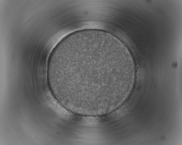 X0000111500836200908251047