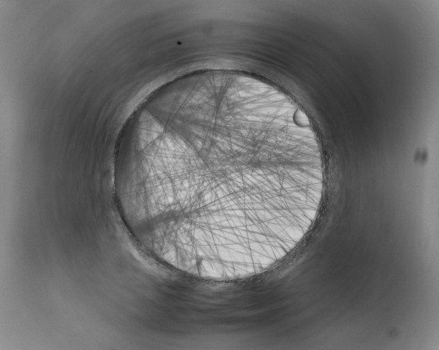 X0000111500837200908251047