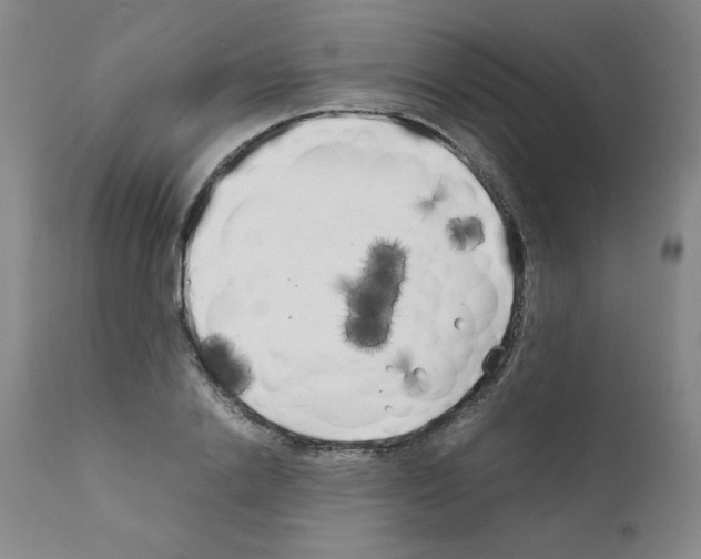 X0000111500838200908251047