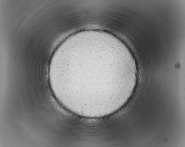 X0000111500839200908251047