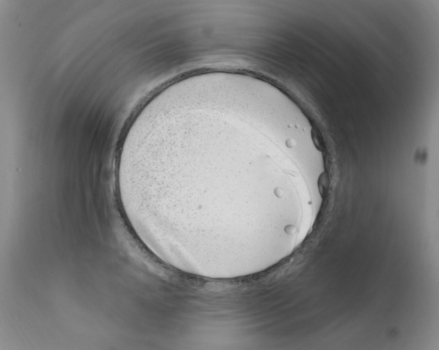 X0000111500840200908251047