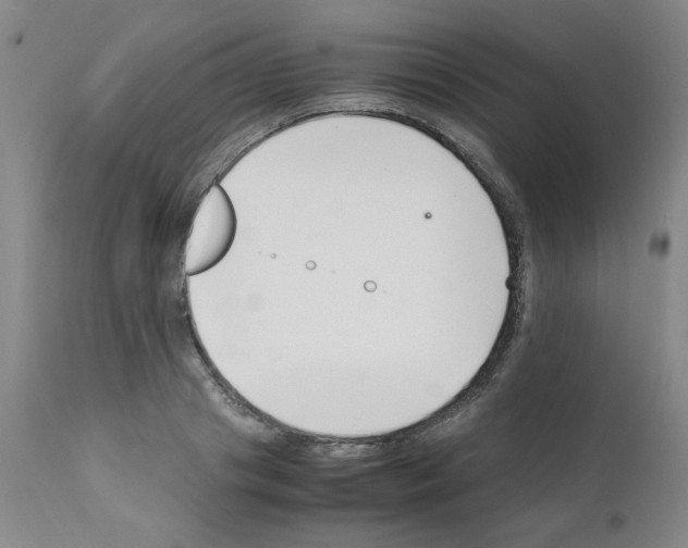 X0000111500841200908251047