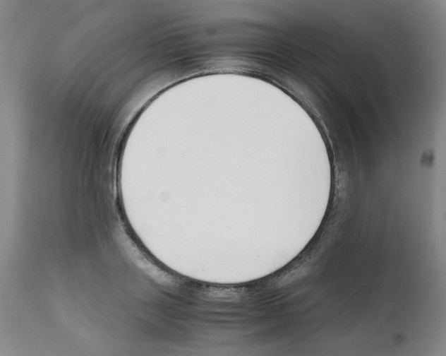 X0000111500843200908251048