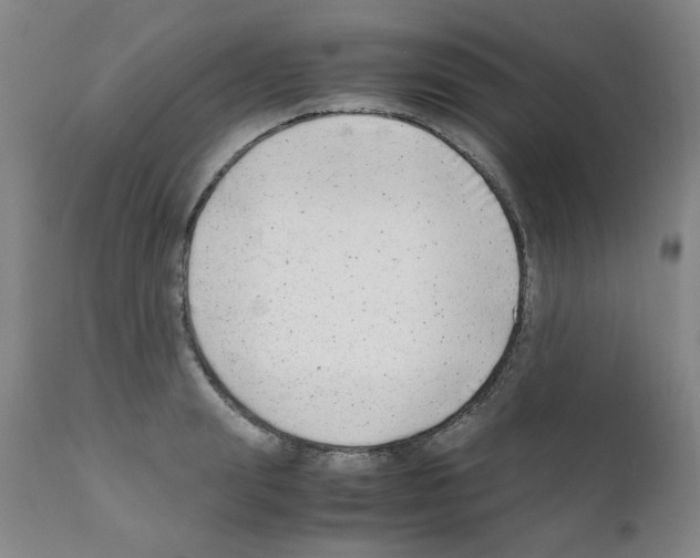 X0000111500847200908251048