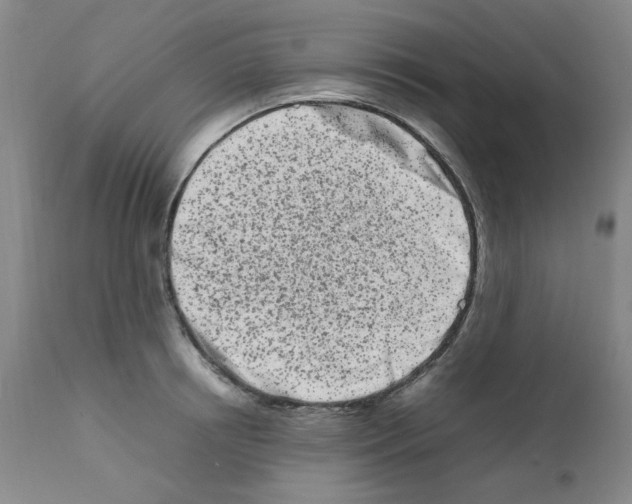 X0000111500850200908251048