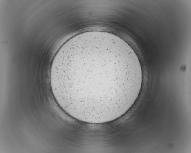 X0000111500852200908251048