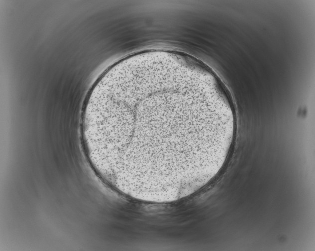 X0000111500853200908251048