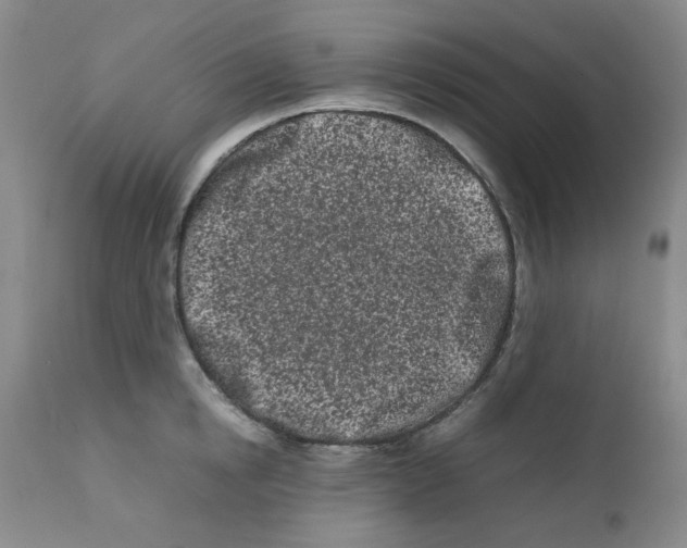 X0000111500854200908251048