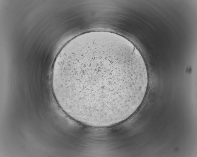 X0000111500856200908251048