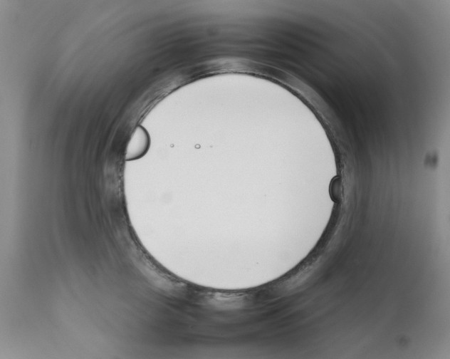 X0000111500857200908251048