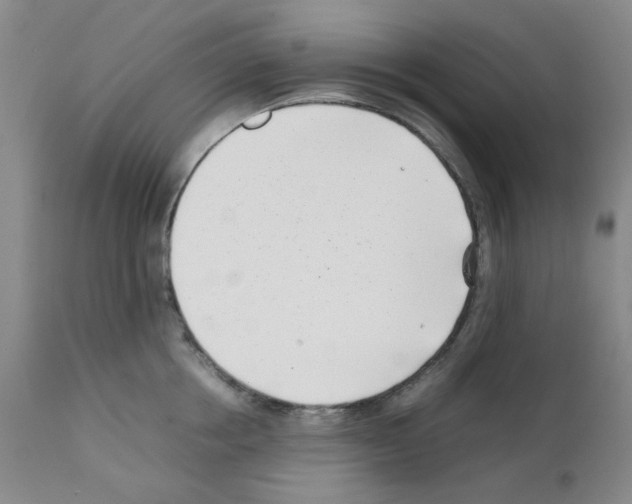 X0000111500858200908251048