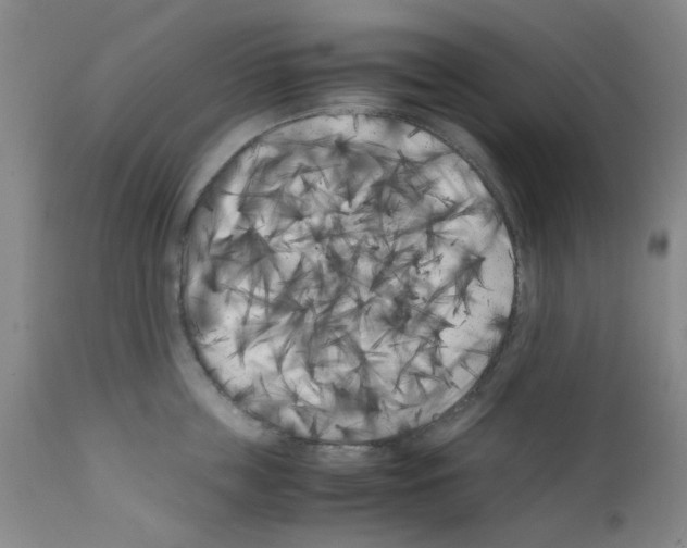 X0000111500859200908251048