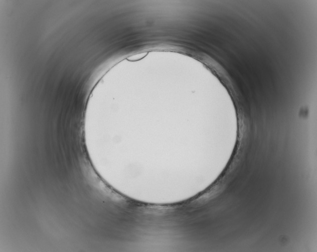 X0000111500860200908251048