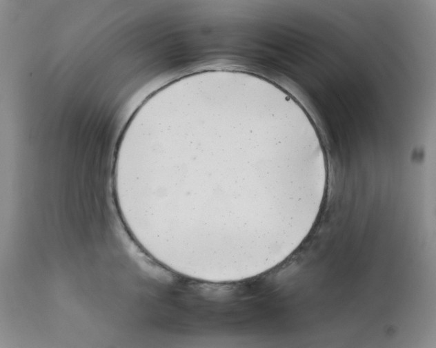 X0000111500861200908251048